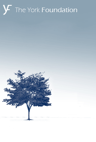 The York Foundation blue tree logo with accompanying text and a blurred tree graphic